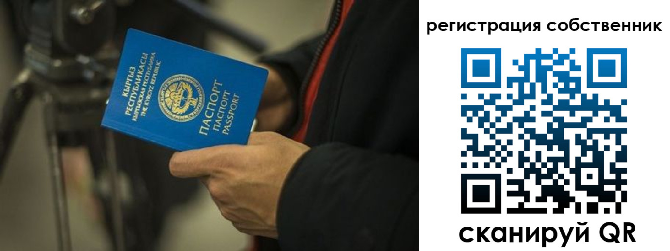 временная регистрация поиск в Михайловке